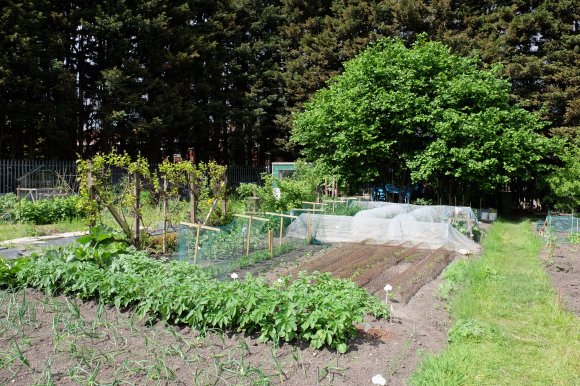 Sideley Allotment 